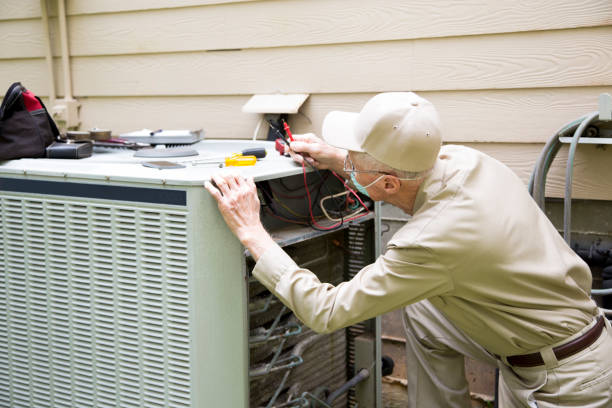 istockphoto 1336553457 612x612 1